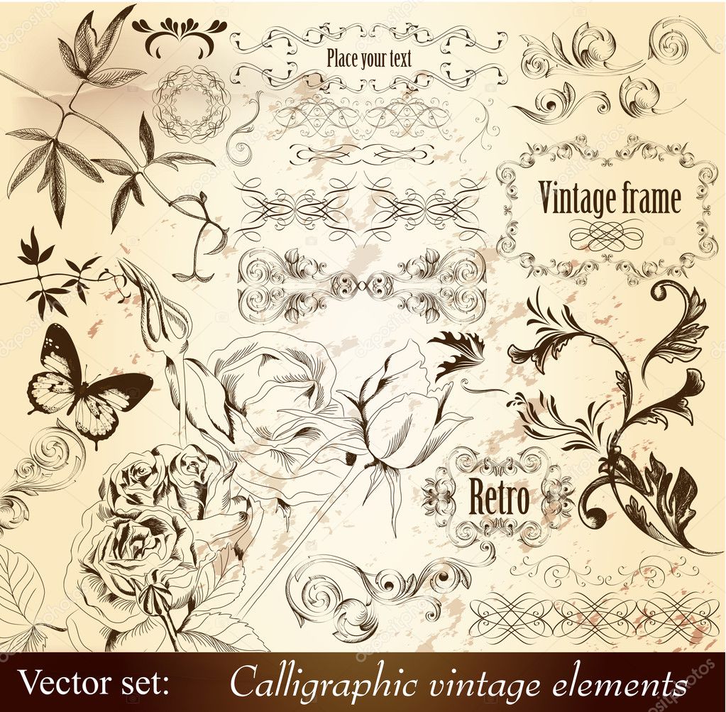 Calligraphic decorative vintage elements