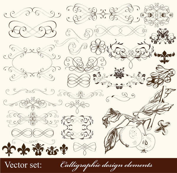 Calligraphic design elements and page decorations