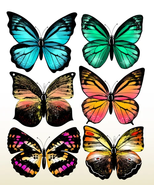 Conjunto de coloridas mariposas vectoriales — Vector de stock