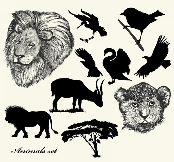 Collection of hand drawn animals and silhouettes