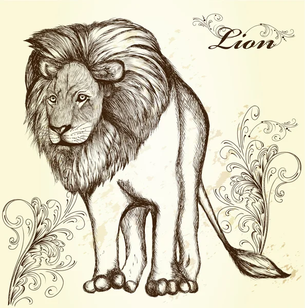 Elégant fond élégant avec lion dessiné à la main — Image vectorielle