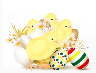 chikens ve yumurta şirin Paskalya tebrik kartı