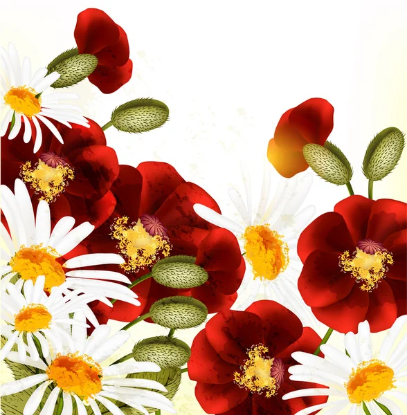 Fondo floral lindo con poppyes rojos y manzanillas — Vector de stock