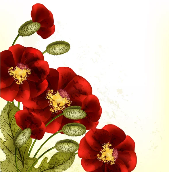 Grunge floral background with red poppyes — Stok Vektör