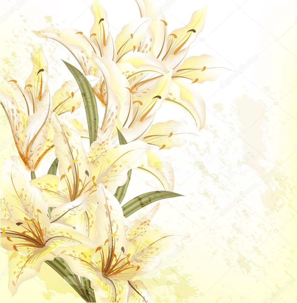 Grunge floral background with beige lily