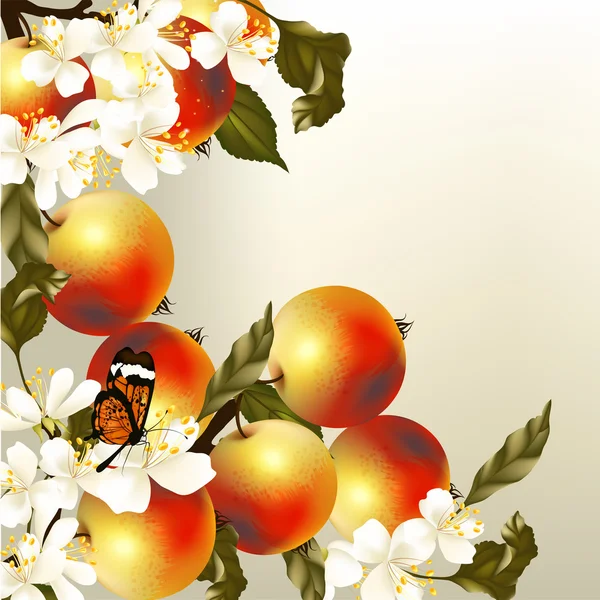 พื้นหลังเวกเตอร์ศิลปะฤดูใบไม้ผลิด้วยแอปเปิ้ลและดอกไม้ที่สมจริง — ภาพเวกเตอร์สต็อก