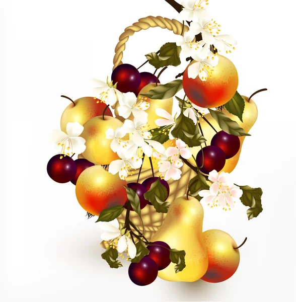 Br とバスケットで現実的なベクトルの果物と美しいデザイン — ストックベクタ
