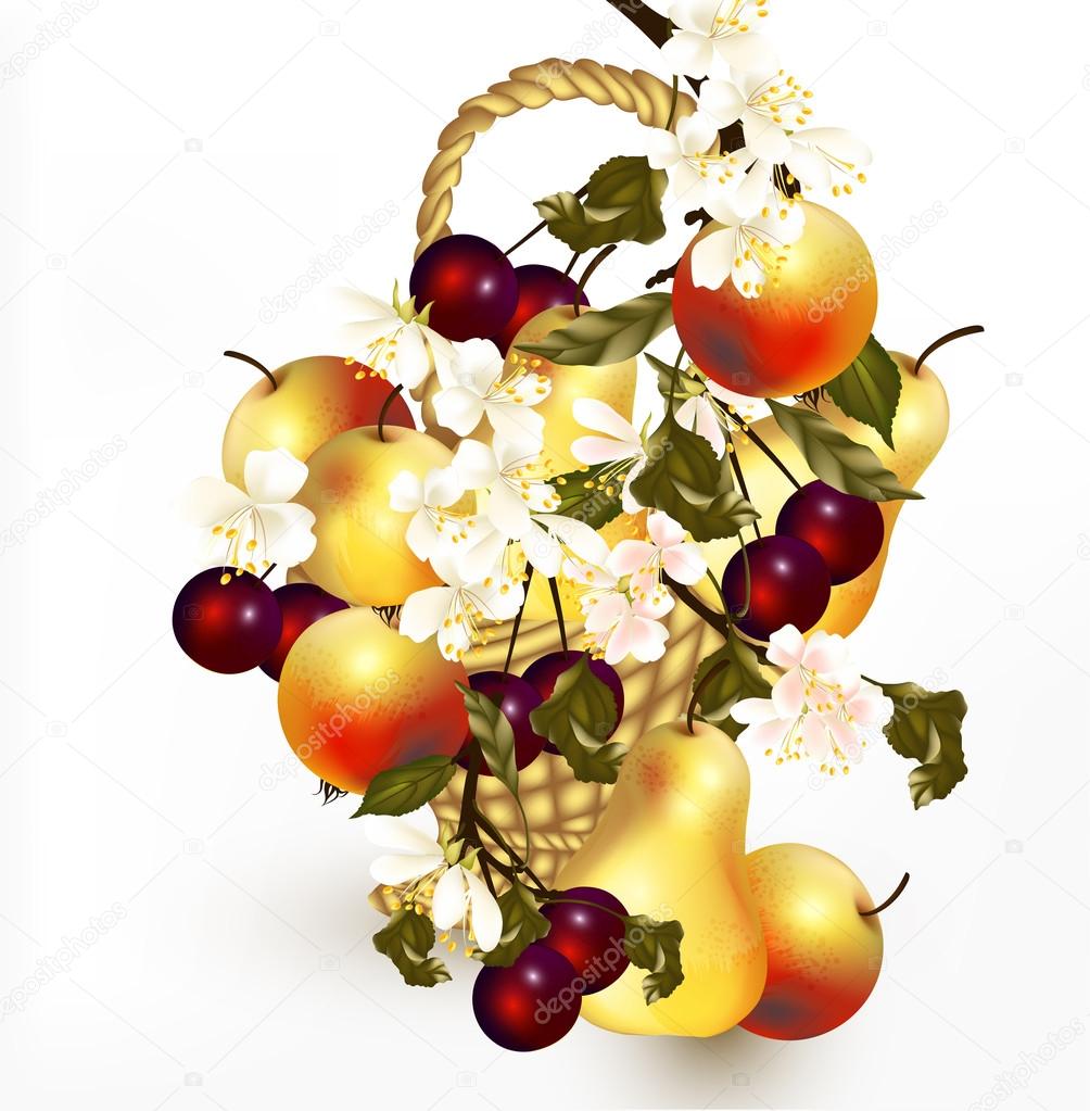 Beautiful design with realistic vector fruits in basket with br