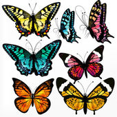 Színes gyűjteménye vektor reális pillangók design