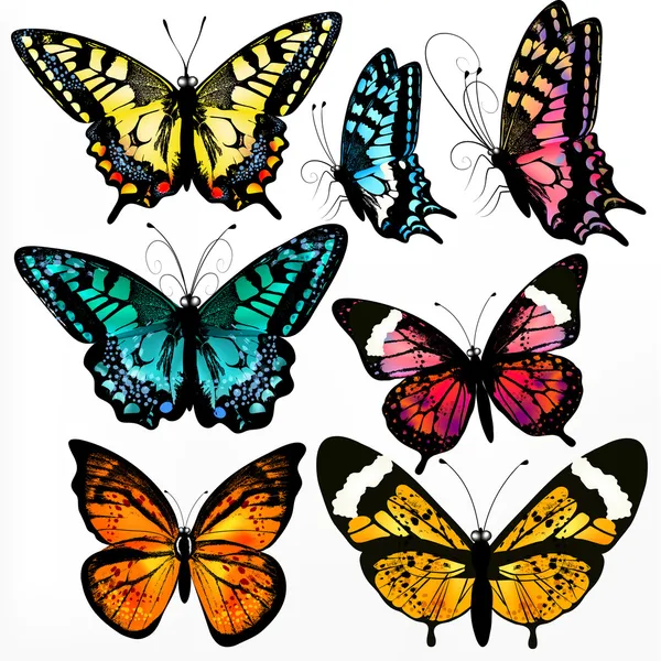 Colección colorida de mariposas realistas vectoriales para el diseño — Archivo Imágenes Vectoriales