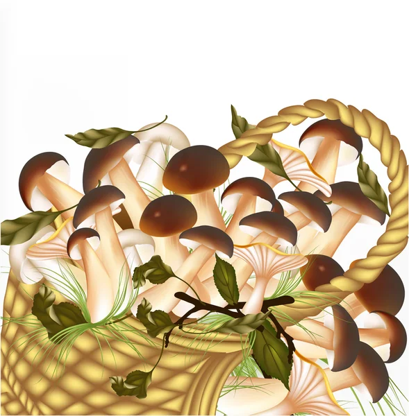 Background with vector mushrooms isolated on white — Stock Vector