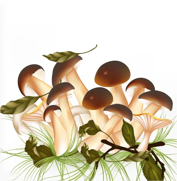 Cute outdoor vector scene with mushrooms — Stock Vector