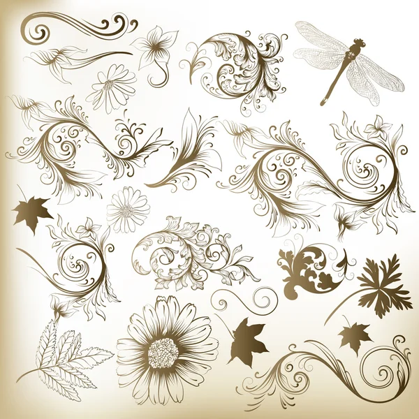 Συλλογή του στροβιλισμού floral διάνυσμα στοιχεία για το σχεδιασμό — Διανυσματικό Αρχείο