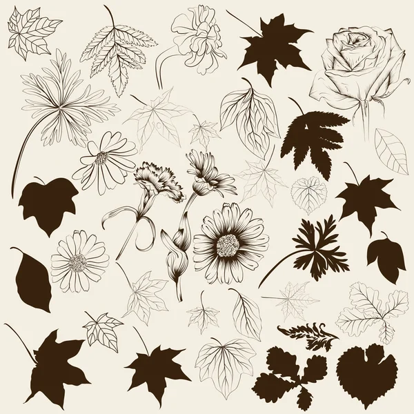 Sammlung handgezeichneter Vektorblätter und Blumen für die Gestaltung — Stockvektor