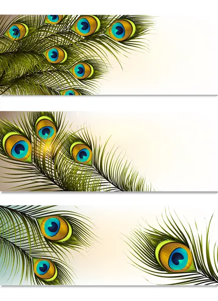 Tarjetas de visita vector conjunto con helechos de pavo real — Archivo Imágenes Vectoriales