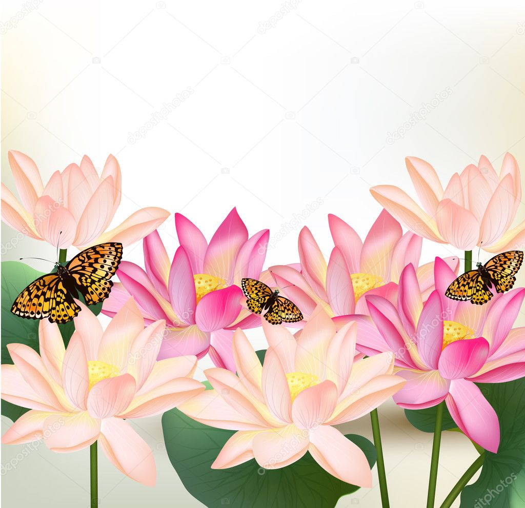 Floral design with vector pink lotus flowers