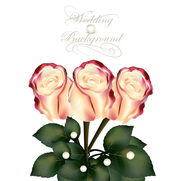 Vacker beige med rosa rosor för bröllop design — Stock vektor