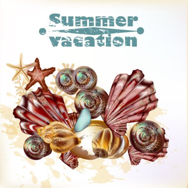 Deniz yaz arka plan ile vektör tasarımı için kabukları ayrıntılı