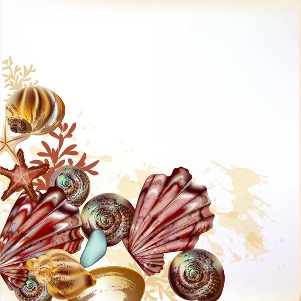Hermoso fondo marino con conchas — Vector de stock