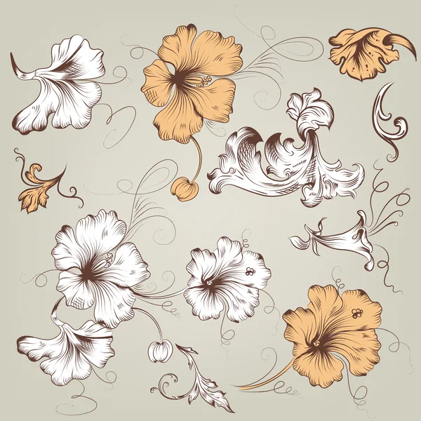 Collection of vintage vector floral elements for design — Stock Vector