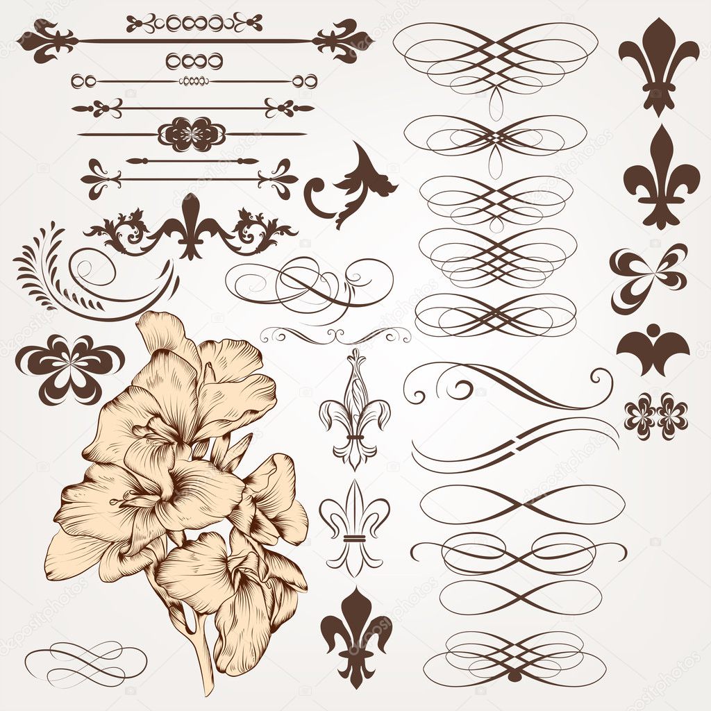 Vector set of vintage calligraphic design elements and page deco