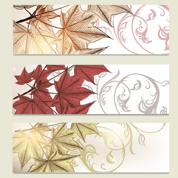 Brochure vector set in floral style with maple leafs — Stock Vector