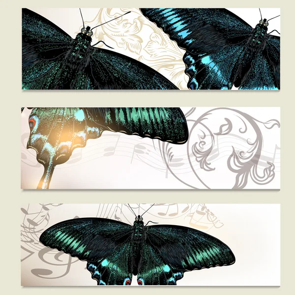 Broşür vektör kelebekler ayarla — Stok Vektör