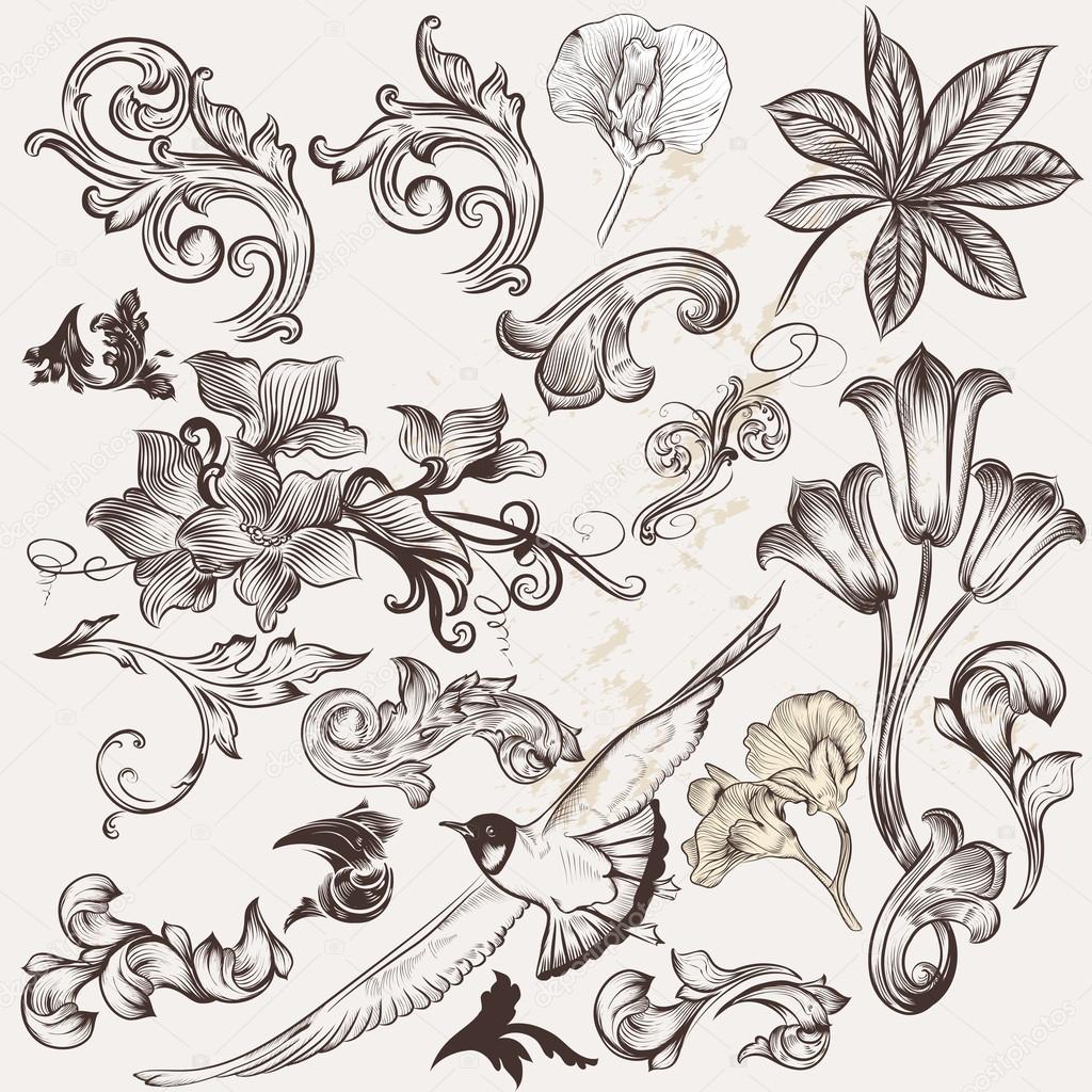 Vector set of vintage swirls and hand drawn elements