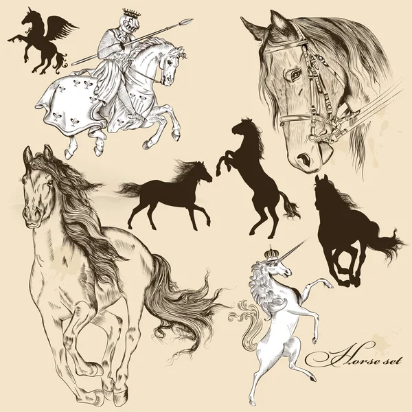 Collection of vector detailed horses for design — Stock Vector