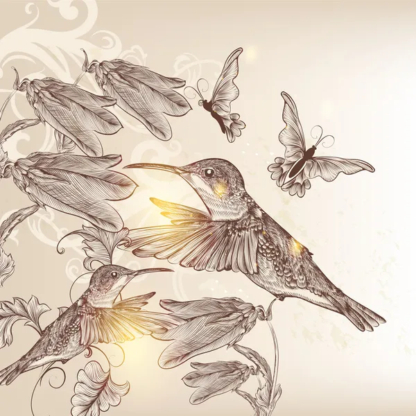 Fond vectoriel vintage avec oiseau humain, papillons et flowe — Image vectorielle