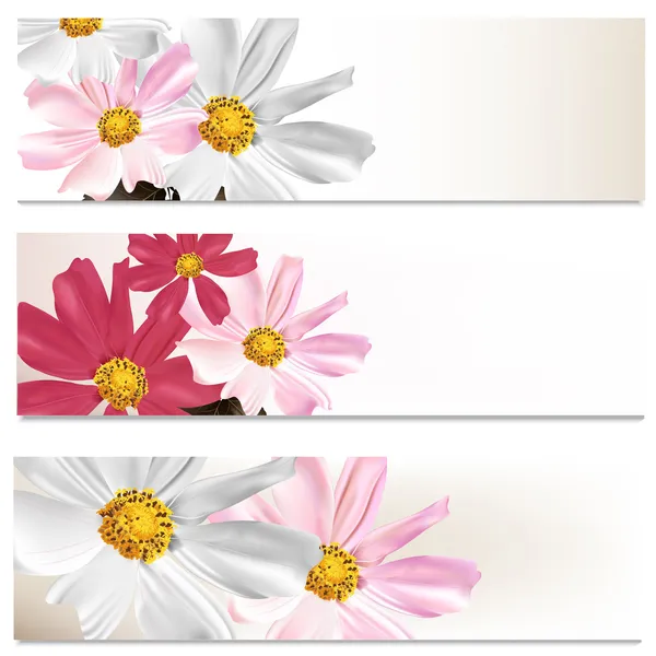 Brochures florales pour le design — Image vectorielle