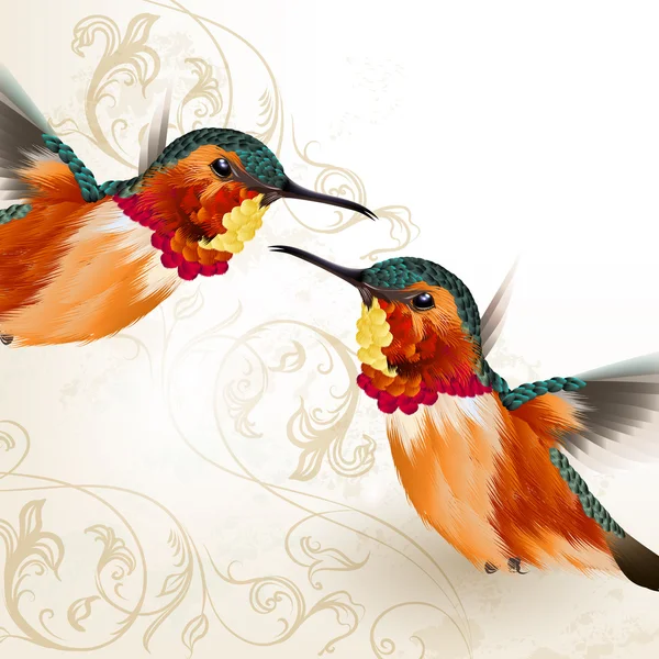 Красивые векторные жужжащие птицы с орнаментом — стоковый вектор