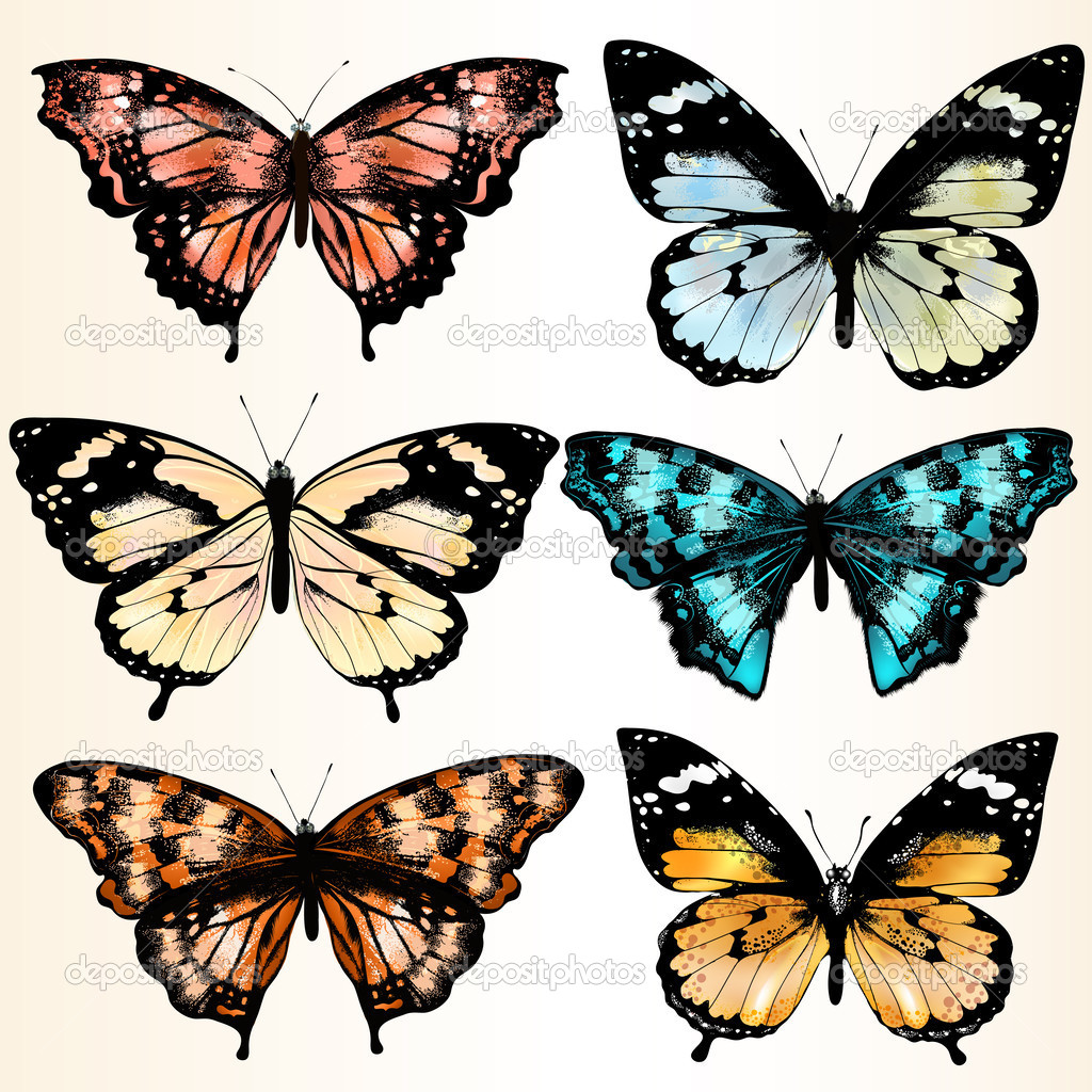 Collection of vector colorful butterflies for design