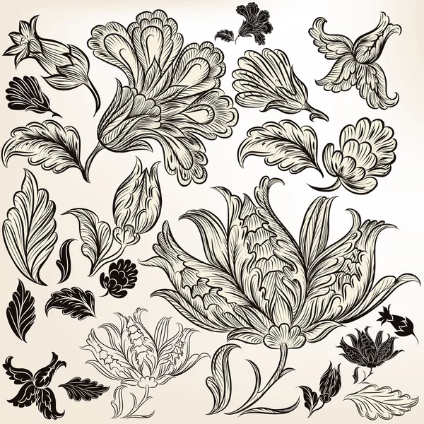 Sammlung floraler handgezeichneter Strudel für das Design — Stockvektor