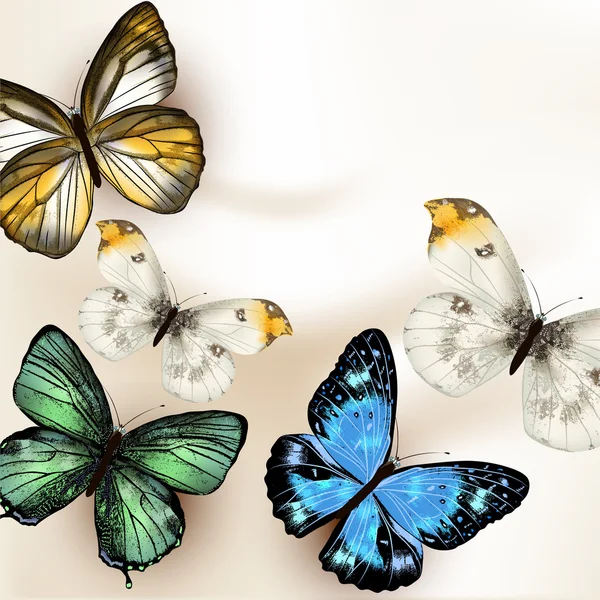Fashion vector background with butterflies — Stock Vector