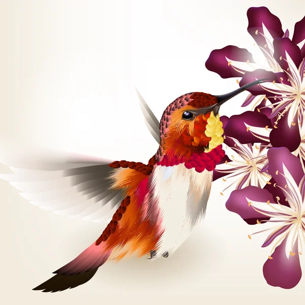 Hermoso vector realista tarareando pájaro con flores — Vector de stock