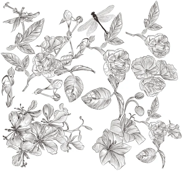 Conjunto floral de vectores de flores altas detalladas para el diseño — Archivo Imágenes Vectoriales