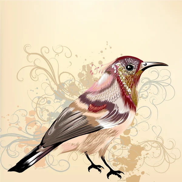 Beau fond vectoriel avec vecteur dessiné à la main oiseau coloré — Image vectorielle