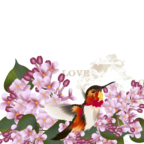 4) güzel vektör desen Eflatun çiçek ve sinek kuşu — Stok Vektör