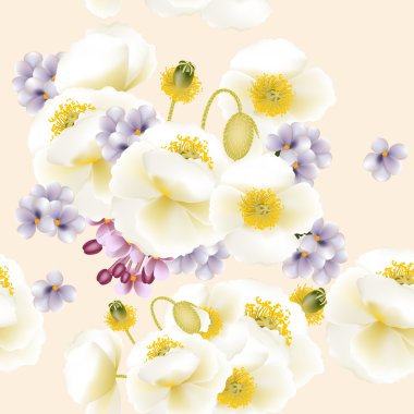 haşhaş çiçekleri ile çiçek vektör sorunsuz duvar kağıdı