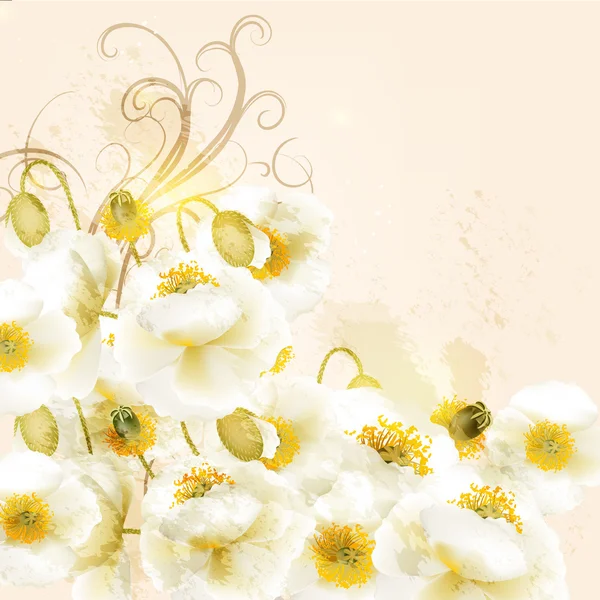 Hermoso vector de fondo con flores de amapola blanca — Vector de stock