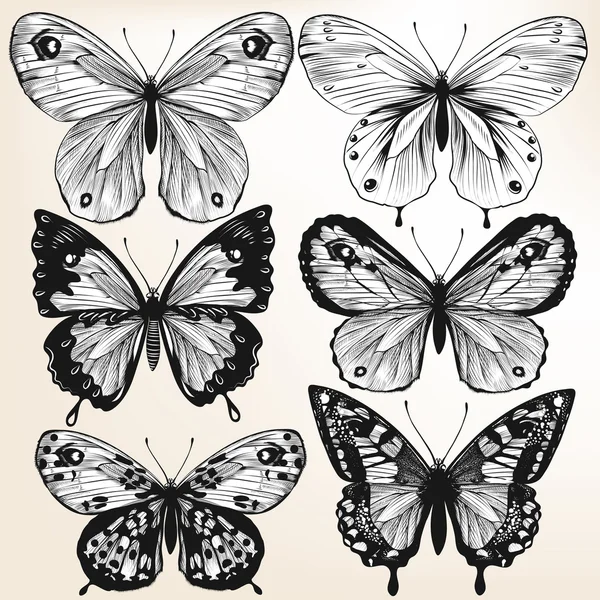 Colección de vectores dibujados a mano detalladas mariposas para el diseño — Vector de stock