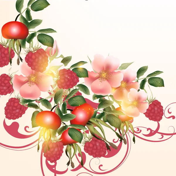 花と果実を持つ美しいベクトルの背景 — ストックベクタ