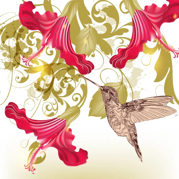 Fond vectoriel floral avec colibri oiseau et fleurs — Image vectorielle