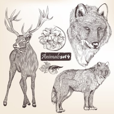 vektör kümesi el çekilmiş detaylı hayvanlar için tasarım