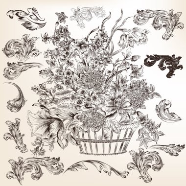 geliştiği ve swirls için tasarım vektör dekoratif topluluğu