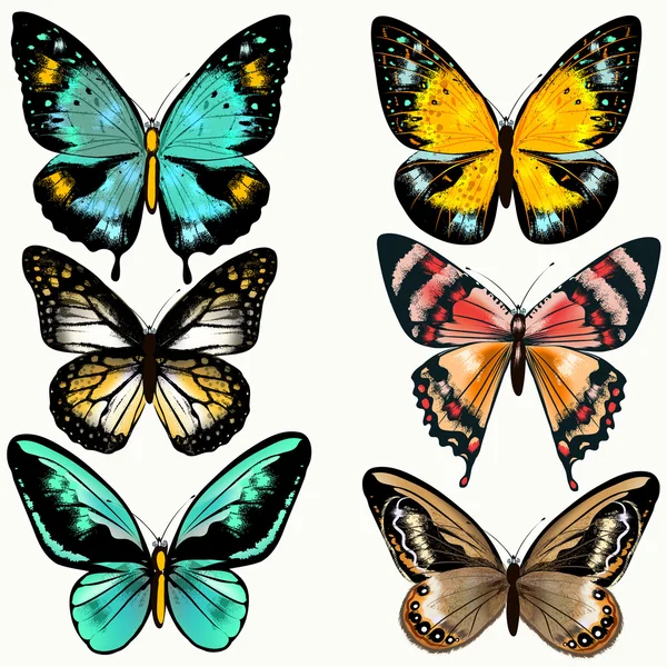 Collection of colorful vector butterflies for design — Stock Vector