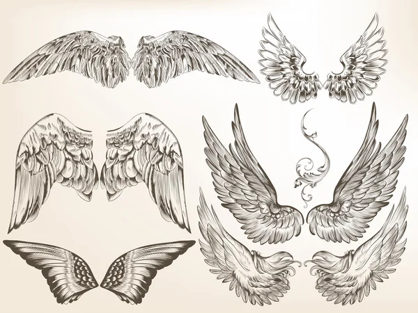 Collection of vector hand drawn wings for design — Stock Vector