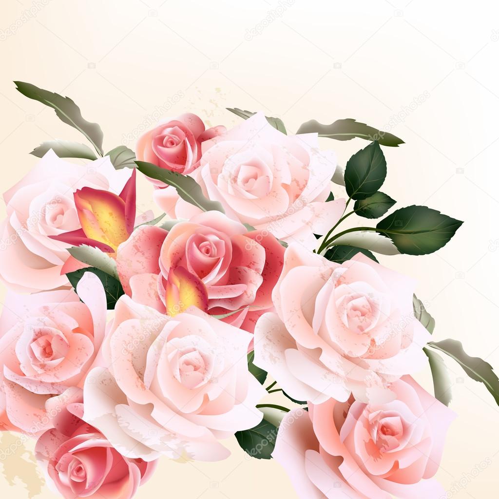 Beautiful vector background with  roses
