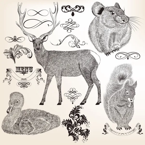Colección de animales vectoriales y florece para el diseño — Archivo Imágenes Vectoriales